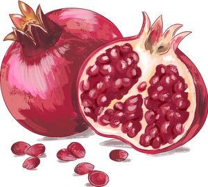 Painterly Hanukkah Pomegranate Fruit