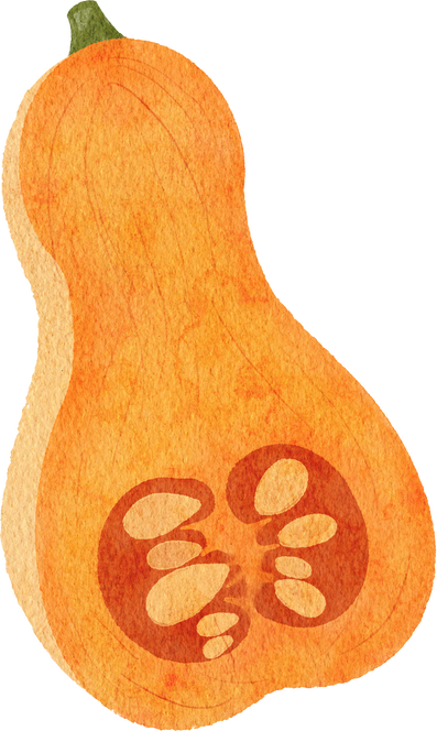 butternut squash pumpkin